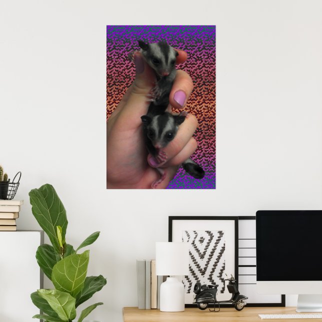 Sugar Glider Poster (Heimbüro)