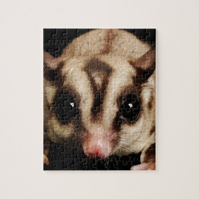 Sugar Glider Puzzle (Vertikal)