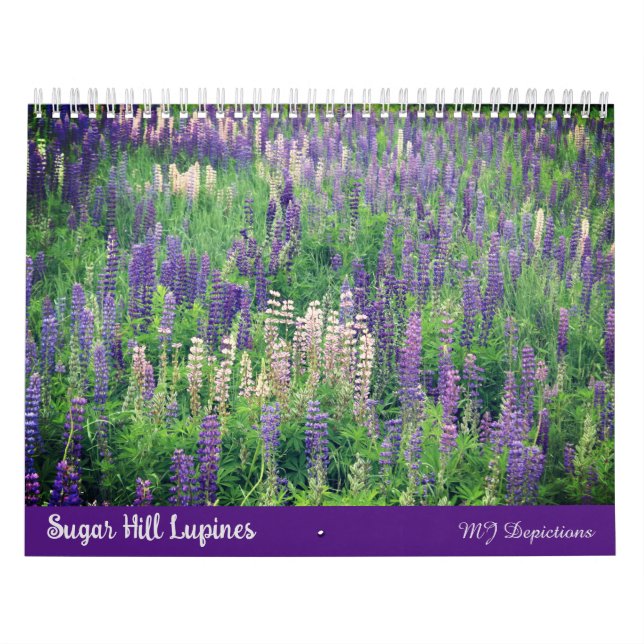 Sugar Hill Lupines Calendar Kalender (Titelbild)
