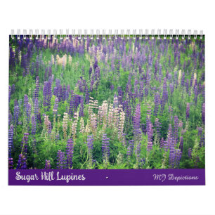 Sugar Hill Lupines Calendar Kalender