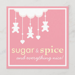 Sugar & Spice Girl Kinderdusche Einladung