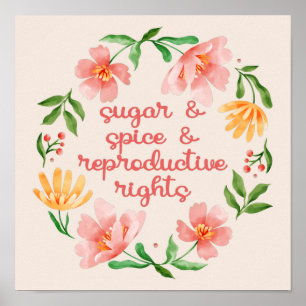 Sugar & Spice & Reproduktive Rechte III Poster