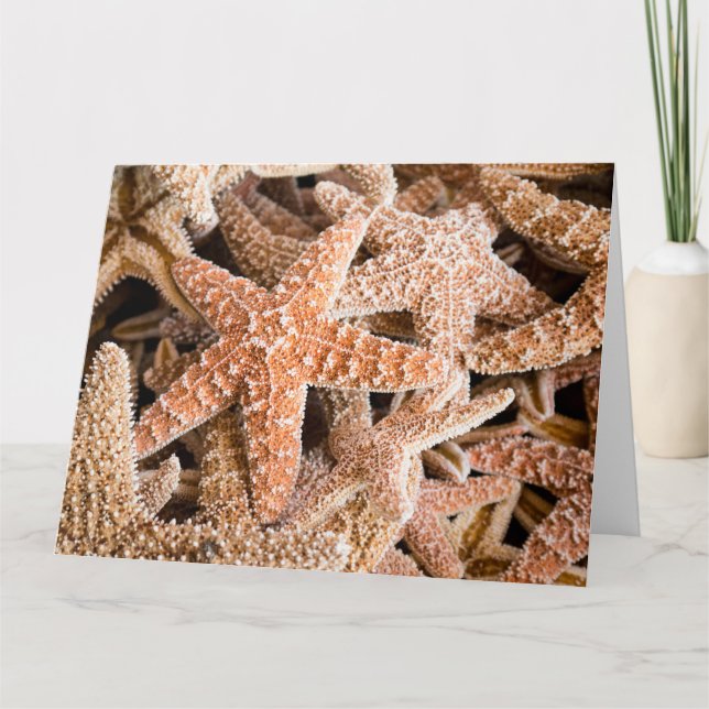 Sugar Starfish Big Grußkarte Karte (Vorderseite)