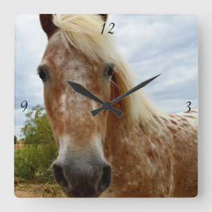 Sugar The Appaloosa Horse, Square Wall Clock. Quadratische Wanduhr
