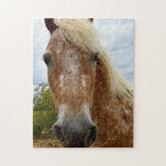 Sugar The Appaloosa Pferd, Jigsaw Puzzle (Vertikal)