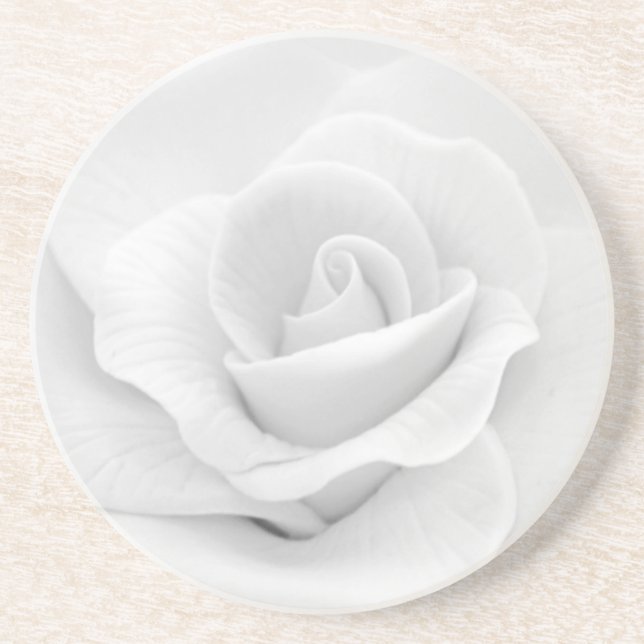 Sugar White Rose Sandstein Untersetzer (Vorne)