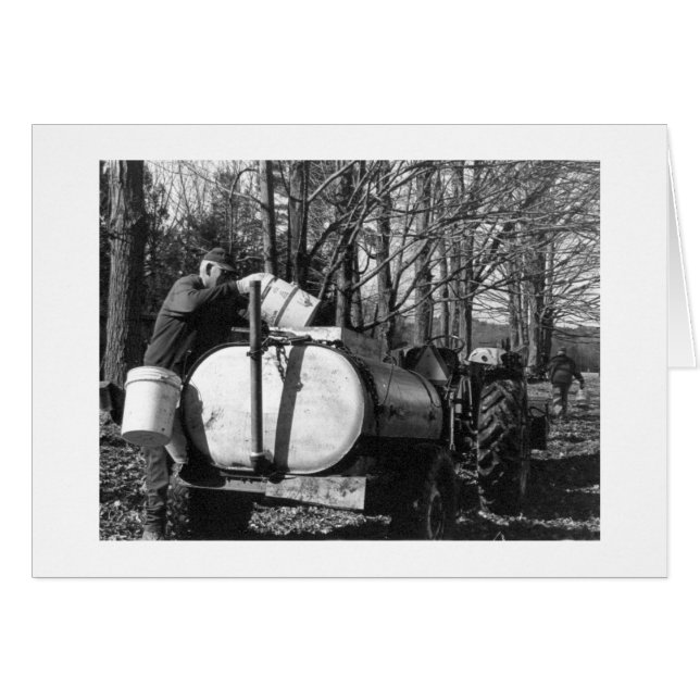 Sugaring Vermont (Vorderseite (Horizontal))