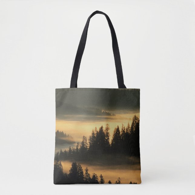 Suislaw staatlicher Wald an der Dämmerung (Vorderseite)