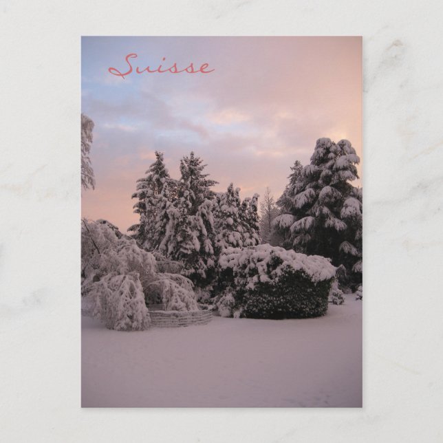 Suisse Postkarte (Vorderseite)