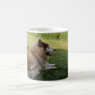 Suka genießt Cape George Kaffeetasse