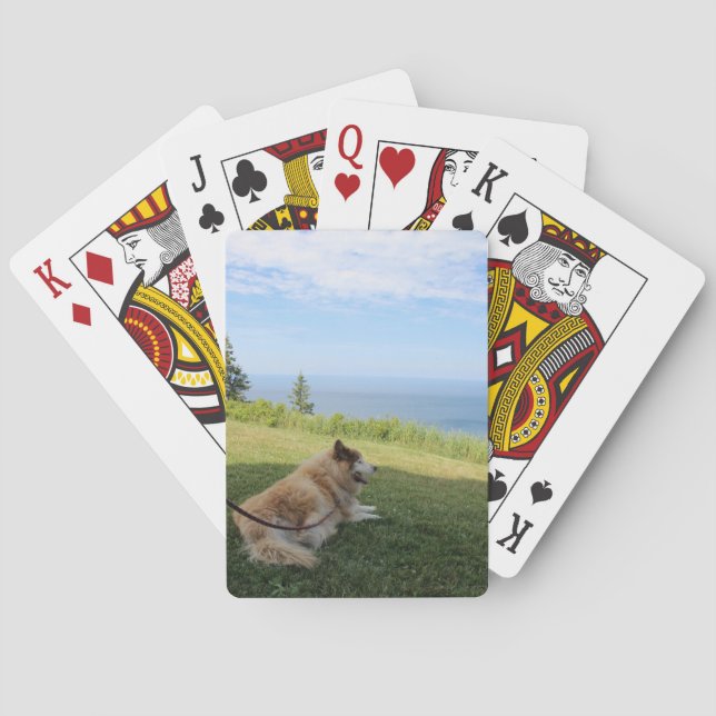 Suka genießt Cape George Spielkarten (Rückseite)