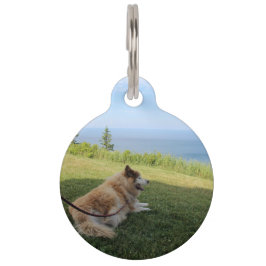 Suka genoss Cape George Pet Tag Haustiermarke