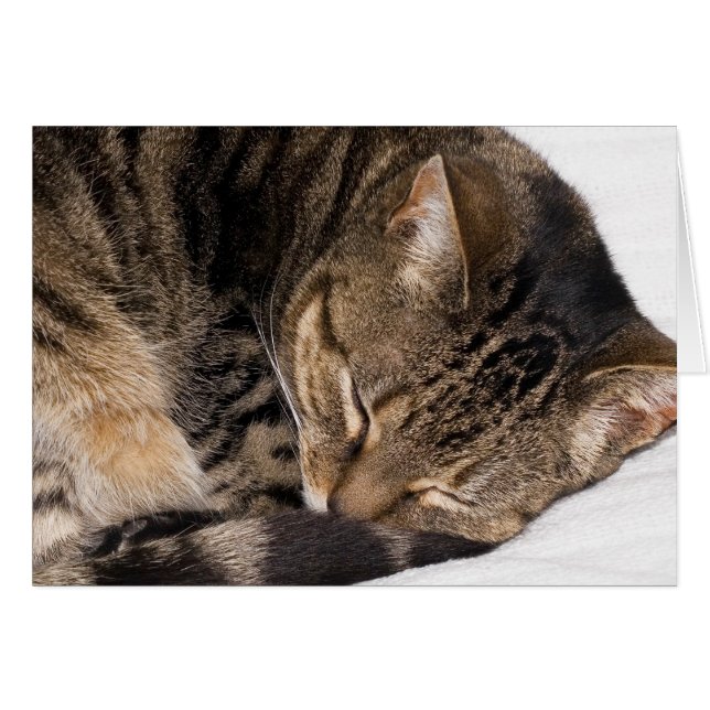 Suki (Vorderseite (Horizontal))