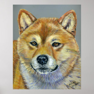 Suki - Shiba Inu Poster
