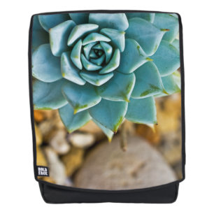 Sukkulant mit Kies Rucksack