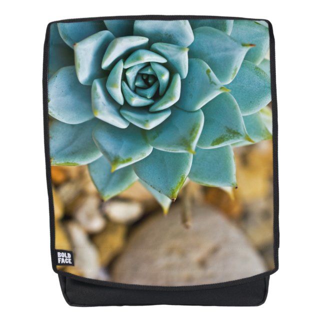 Sukkulant mit Kies Rucksack (Vorderseite)