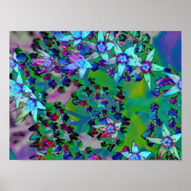 Sukkuläre Blume des Wassers, Lila und blau Poster (Vorne)