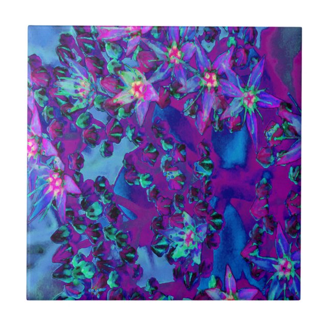 Sukkuläre Blume in Aquamarin, Magenta und Blau Fliese (Vorderseite)
