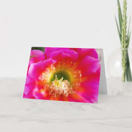 Sukkuläre Blume Makro Karte