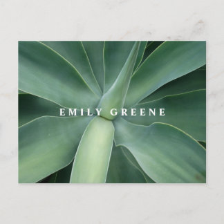 Sukkuläre Notecards Postkarte