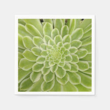 Sukkuläre Papierservietten