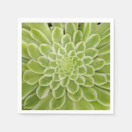 Sukkuläre Papierservietten