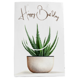 Sukkuläre Pflanze am Geburtstag Mittlere Geschenktüte