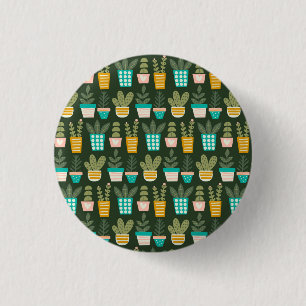 Sukkuläre Pflanze Button