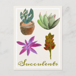 Sukkuläre Pflanze Farbige Bleistiftzeichnungen Pos Postkarte