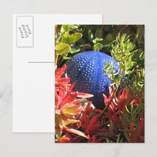 Sukkuläre Pflanze Garden Blank Postkarte (Vorne/Hinten)