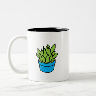 Sukkuläre Pflanze in Blue Planter Zweifarbige Tasse