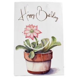 Sukkuläre Pflanze mit Blume Mittlere Geschenktüte