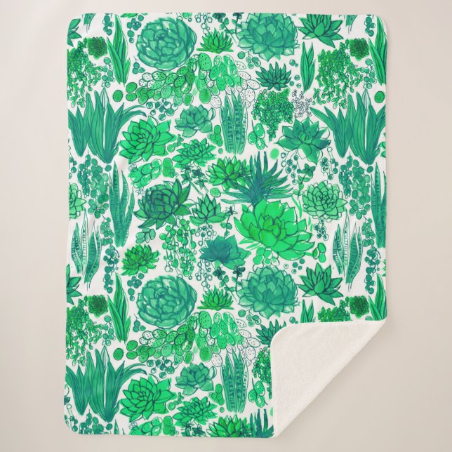 Sukkulärer Garten Sherpadecke (Vorderseite)