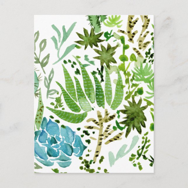 Sukkuläres Feld I Postkarte (Vorderseite)