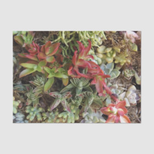 Sukkuläres Gewebepapier Seidenpapier