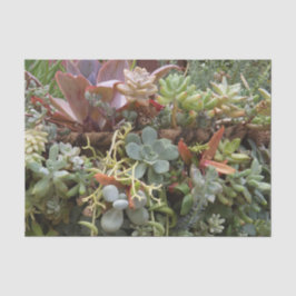 Sukkuläres Gewebepapier Seidenpapier