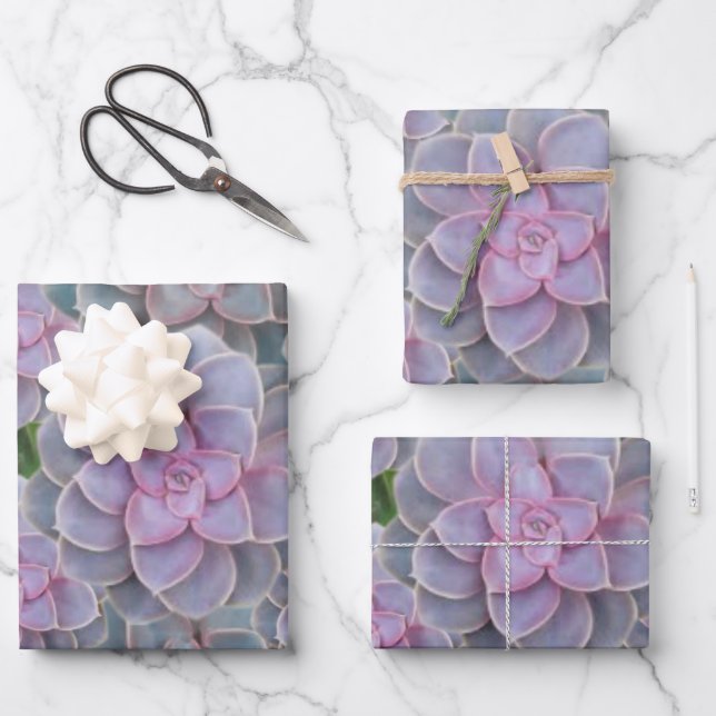 Sukkuläres Lila Periwinkle Blumenpapier Geschenkpapier Set (Vorderseite)