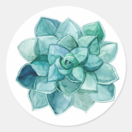 Sukkulat in Aquarell Runder Aufkleber