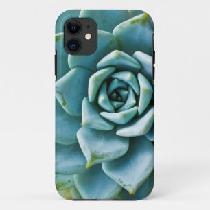 sukkulent iPhone 11 hülle