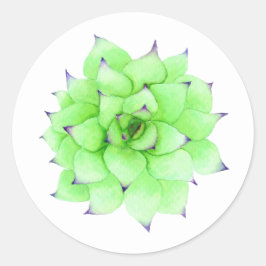 Sukkulent Classic Round Sticker (grün & lila)