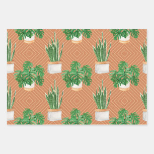 sukkulent geschenkpapier set