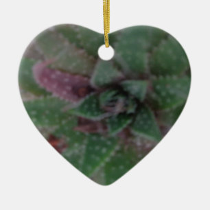 Sukkulent, grün Lila, Natur, Flora Pflanze Keramik Ornament