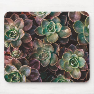 sukkulent mousepad
