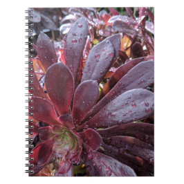 sukkulent notizblock