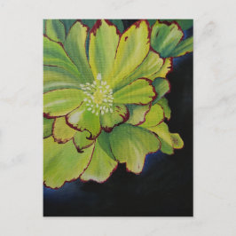 sukkulent postkarte