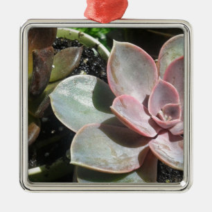 #sukkulent, Sukkulente Pflanze, hübsch rosa sukkul Ornament Aus Metall