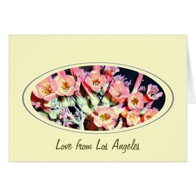 Sukkulent "Weed" (Vorderseite (Horizontal))