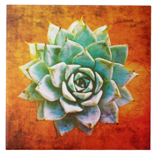 Sukkulente Aquarell auf Orange Rost Fliese