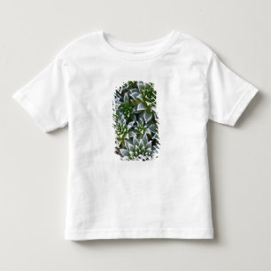 Sukkulente Hen & Chicks mit Frost am frühen Kleinkind T-shirt