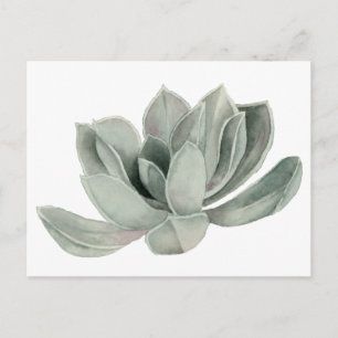 Sukkulente Pflanze Aquarellbilder Postkarte